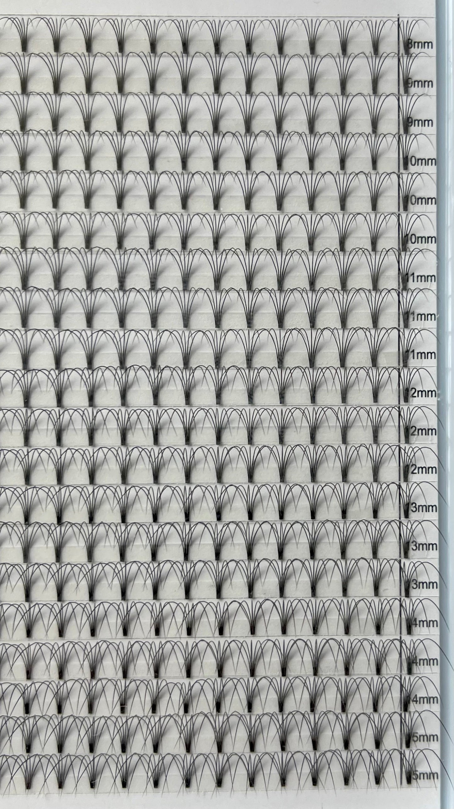 4D 0.10 Mixed Mega Tray