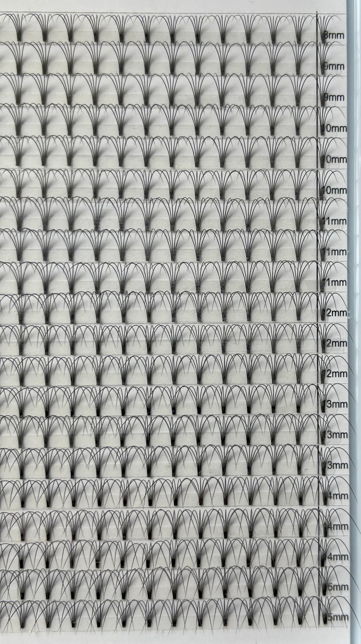 5D 0.10 Mixed Mega Tray